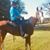 Sharyn Cates Hughes's profile image