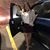 Doris Marleny Godoy's profile image