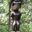 Ruddha CA's profile image
