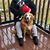 Stephany Schultz's profile image