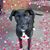 Jenny Scott's profile image