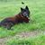 Kimberly Snider-Eisenmann's profile image