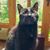 Cassandra R Truan's profile image