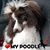 Cheri Schmidt Taylor's profile image