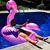 Abbey Tanner's profile image