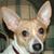 Karen Haney's profile image