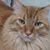 Carol Roga's profile image