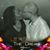 Darryle Whitman's profile image