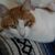Gloria Ramirez's profile image
