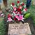 Vilma Rivera's profile image