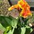 Emily Hodges's profile image