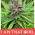 Pamela Ortiz's profile image