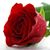 Leydy Rodriguez's profile image