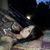 Cleisi Fernandez's profile image