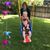 Anita Townsend Hollon's profile image