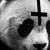 Michael Arredondo's profile image