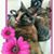 Roberta Storrie's profile image