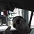 Andrew Ortiz's profile image