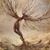 Denise Halbe's profile image