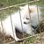 Sandy Rone's profile image