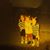 Fehim Pezerovic's profile image