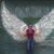 Debbi Terrill's profile image
