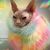 Anna Reed's profile image