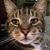 Susan Robbins's profile image