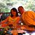 Linda Taylor Hegner's profile image