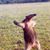 Rusty Parsons's profile image