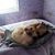 Vicki Waschbisch's profile image