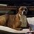 Kevin Tully Sr.'s profile image