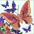 Angie Malone's profile image