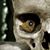 Holly Payton-Miller's profile image