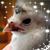 Tamy Hull's profile image
