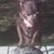 Tammy Mansell's profile image
