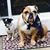 Connie Stanelle Guthrie's profile image