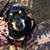 Heidi Schermerhorn-Fox's profile image