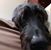 Sally Russell's profile image