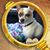 Teresa Thomas's profile image