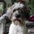 Patti Charron's profile image