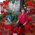 Mara Micanovic's profile image