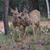 Anita Riggle's profile image