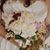 Lydia Mae Anastasia's profile image