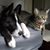 Irene Almazar's profile image