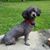 Joy Stanley Smith's profile image