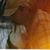 Johnnie Hoyne's profile image
