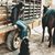 Lauren Kneese Johnson's profile image