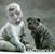 Pamela Craft's profile image