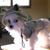Celeste Wherry's profile image